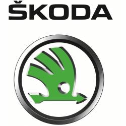 Накладки на пороги Skoda (Шкода)